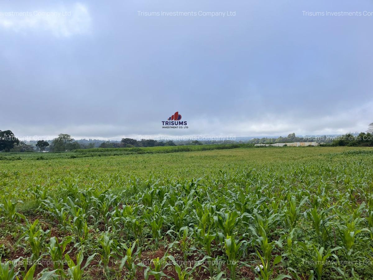 3.7 ac Land at Kiambu - 10