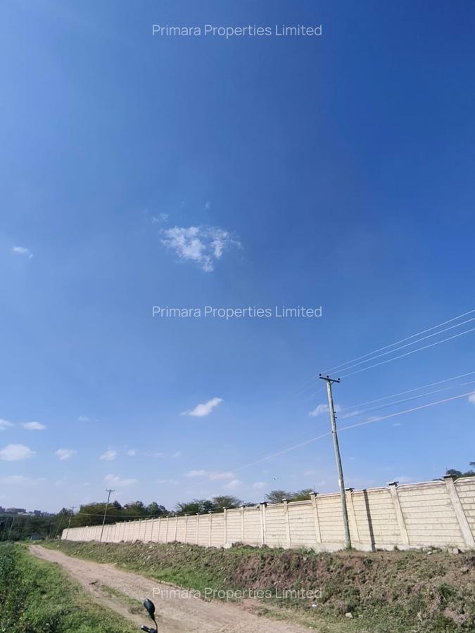 0.125 ac Land at Sabaki - 5