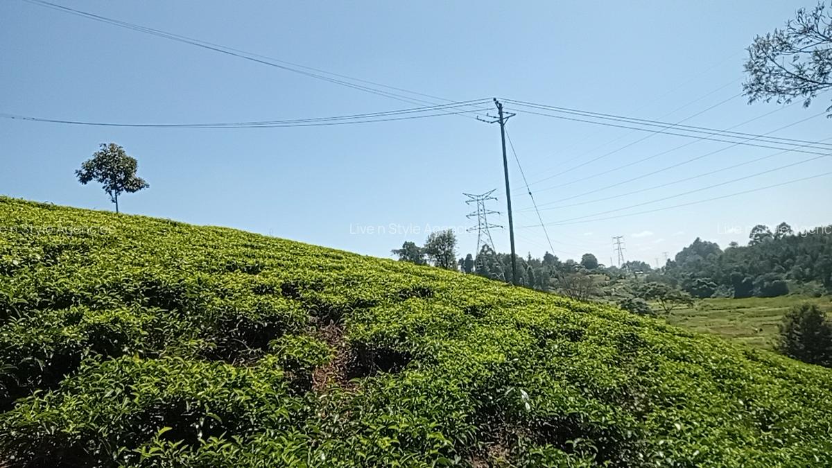 Residential Land in Tigoni - 10