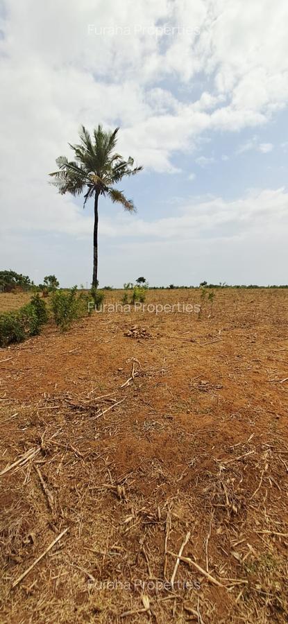 Land in Kilifi - 18