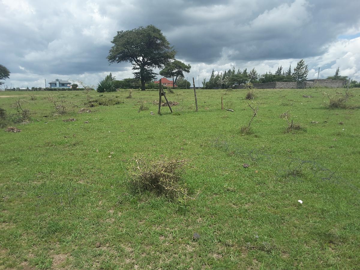 0.1 ha Residential Land in Ongata Rongai - 9