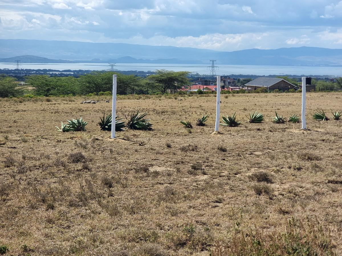 Land at Naivasha - 11