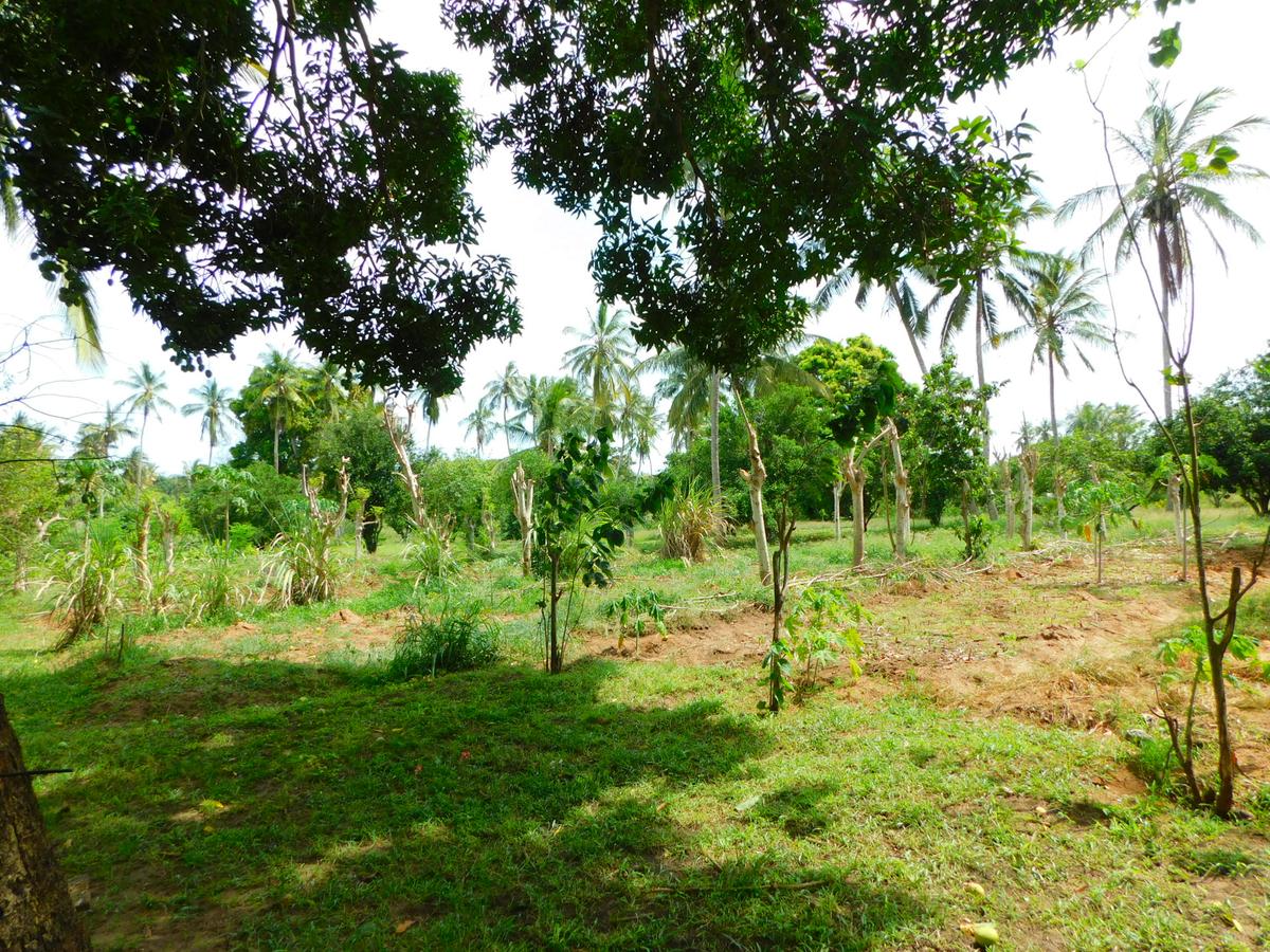 8 ac Land in Kikambala - 8