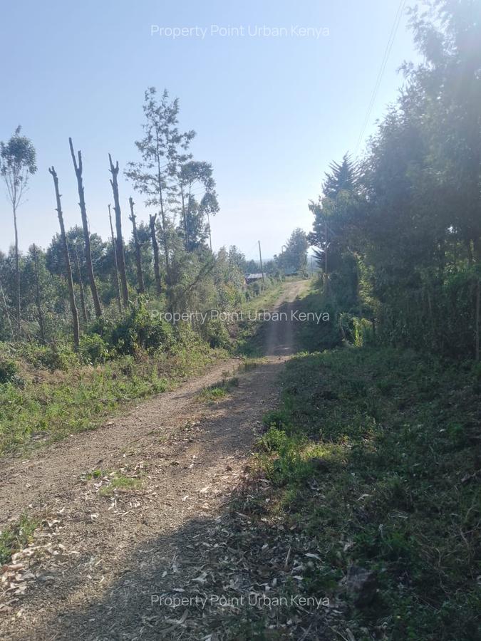 2.5 ac Land at Village (Mbiriri Muthaiga) - 12
