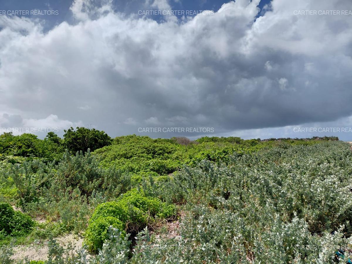 12 ac Land in Watamu - 2