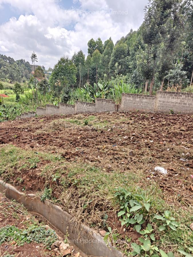 0.125 ac Land in Ruaka - 5