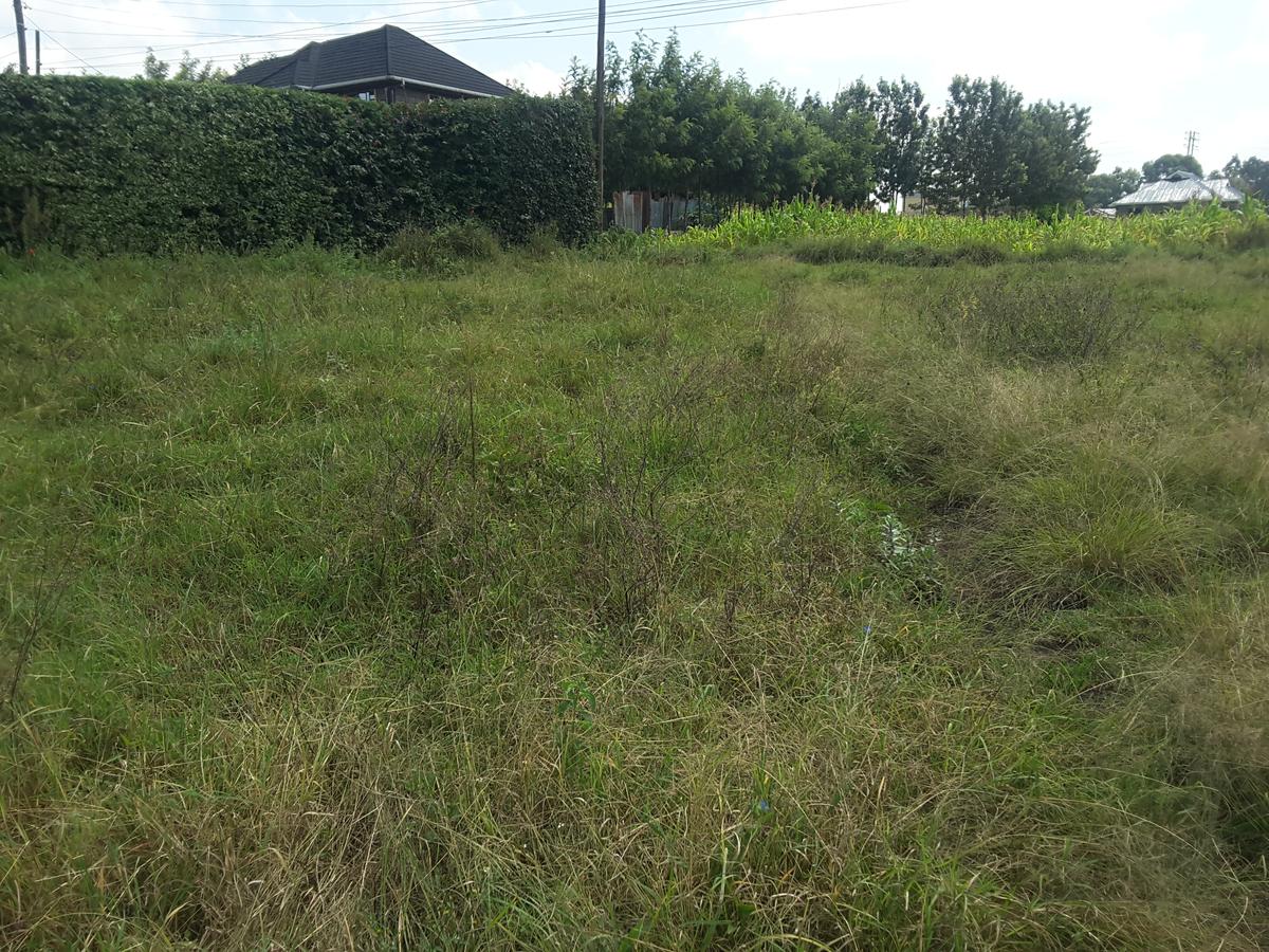 0.125 ac Residential Land in Ongata Rongai - 2