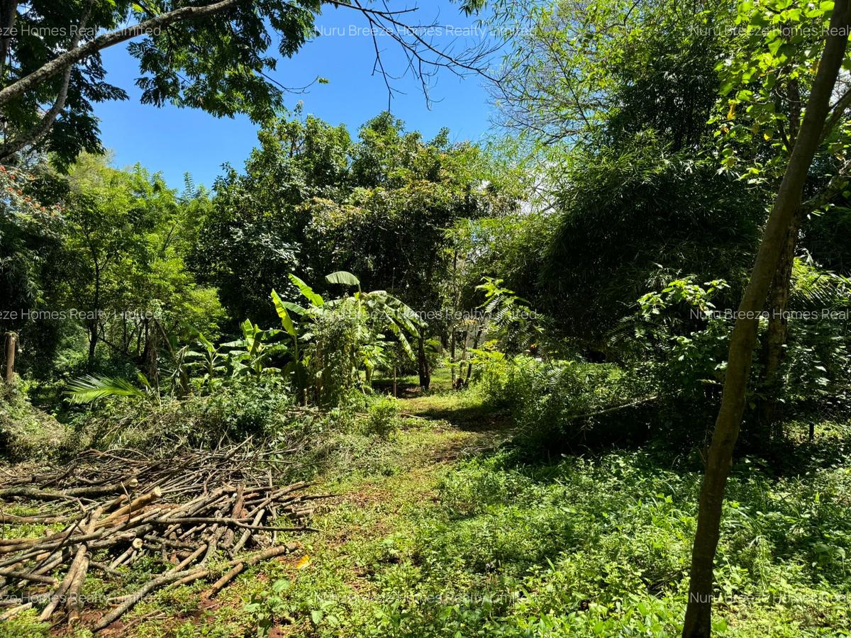 0.5 ac Residential Land in Kitisuru - 1