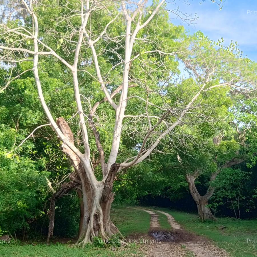 90 ac Residential Land at Kuruwitu-Vipingo - 10