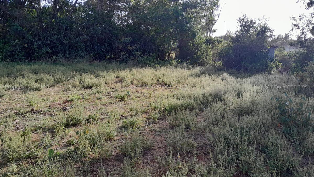 Land at Mayor Road - 2