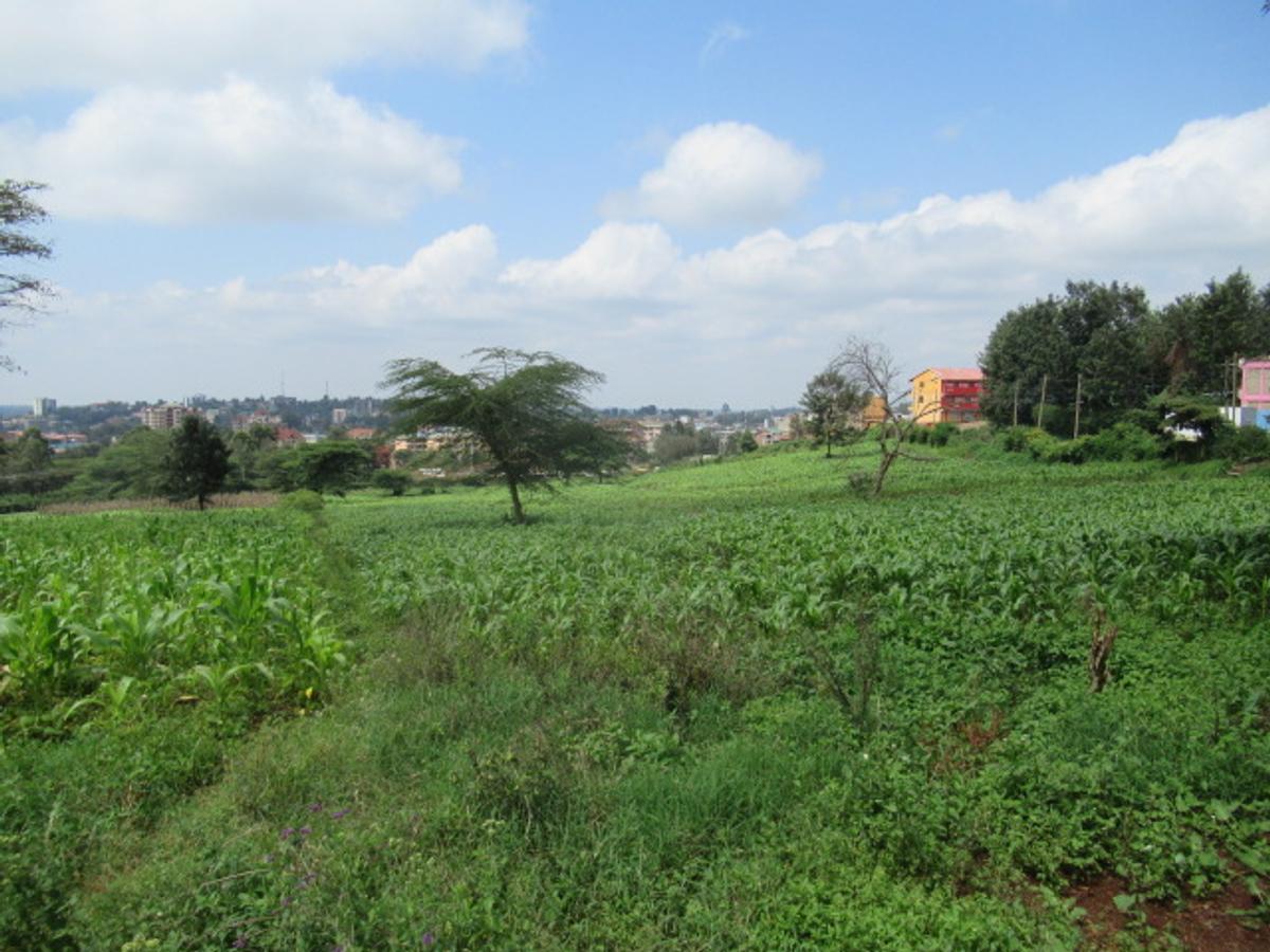 Land at Ngong Town - 3