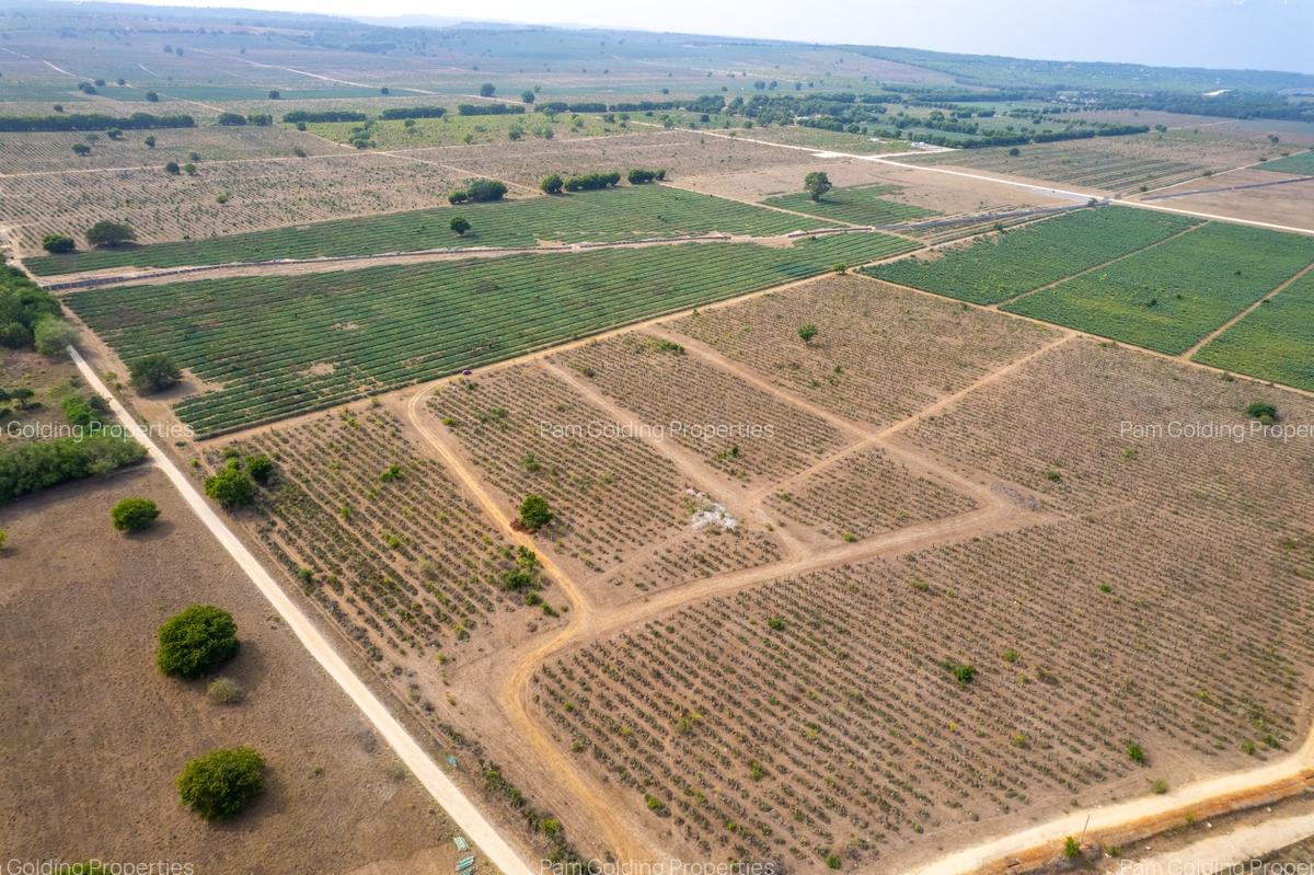 0.125 ac Land at Vipingo - 6