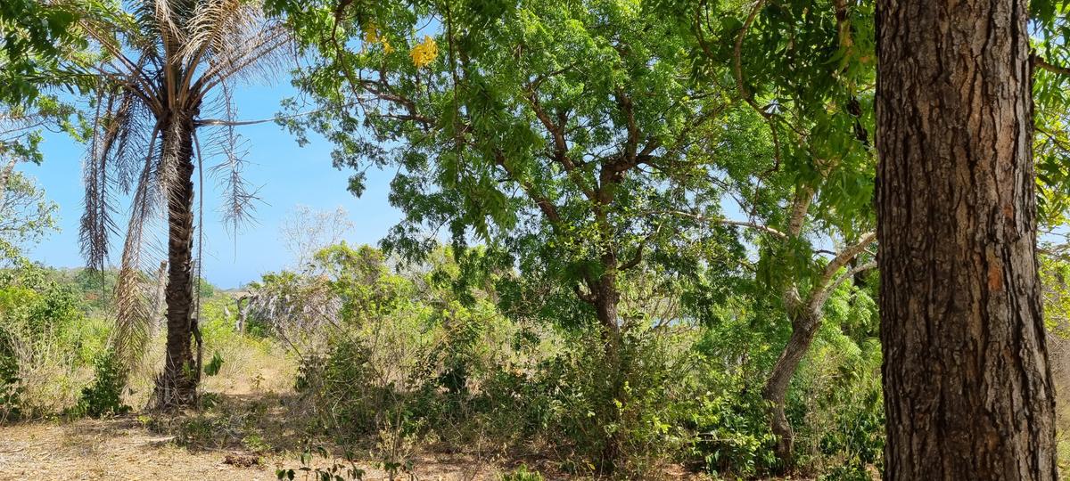 1 ac Land at Mtwapa Creekside - 11