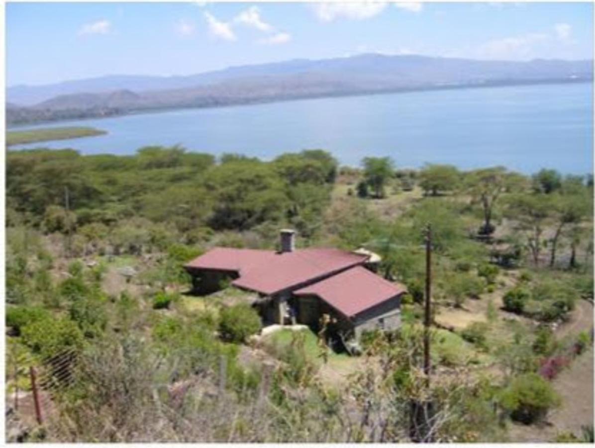 4.5 ac Land in Naivasha - 1