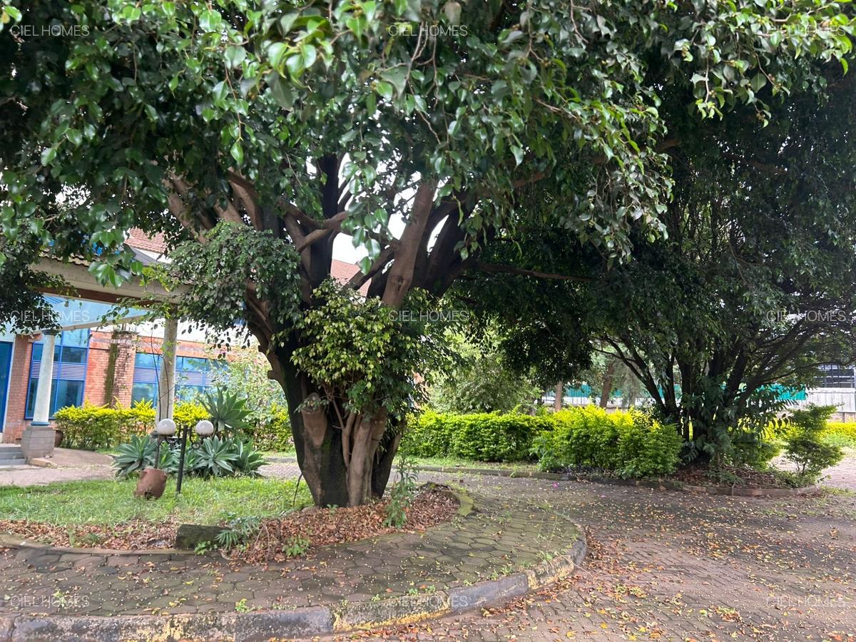 3.2 ac Land at Naivasha Road - 5