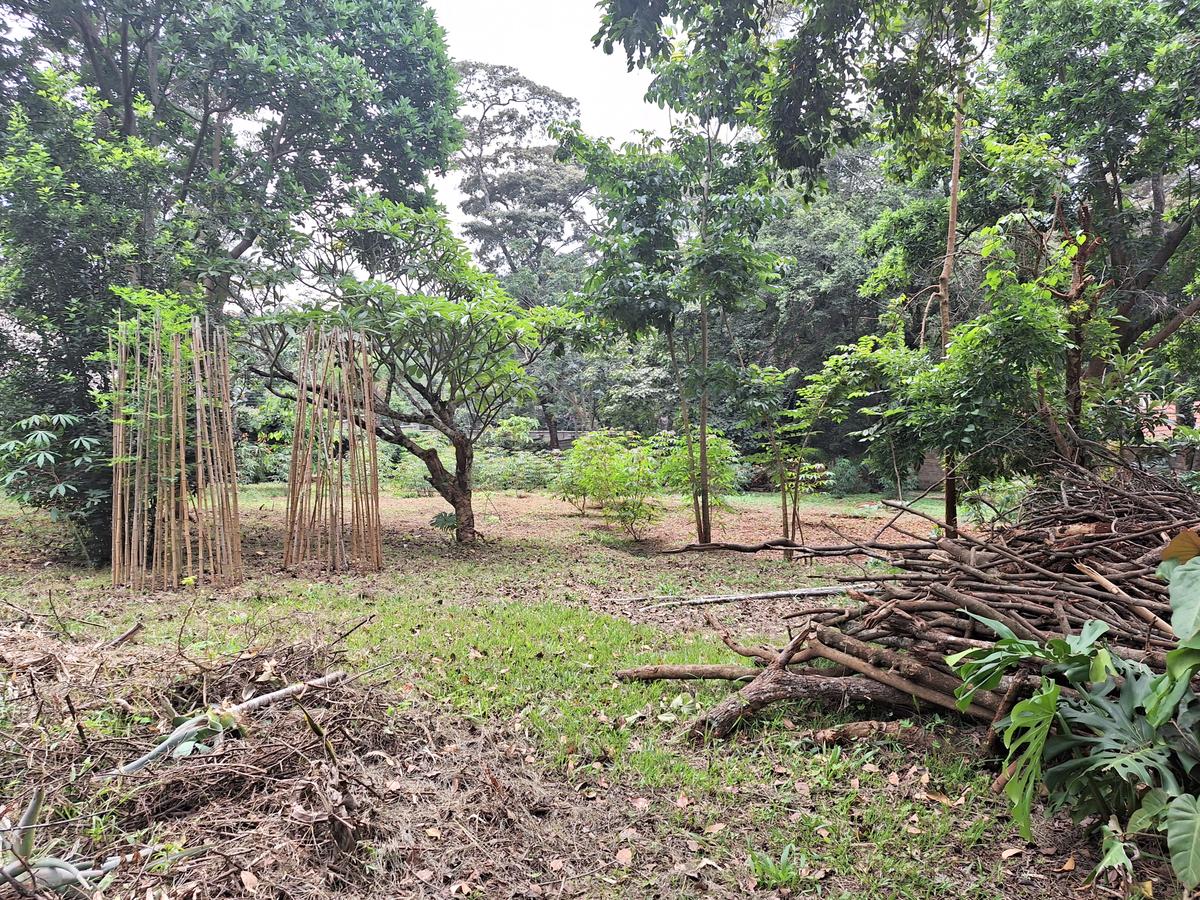 0.5 m² Land in Muthaiga - 1