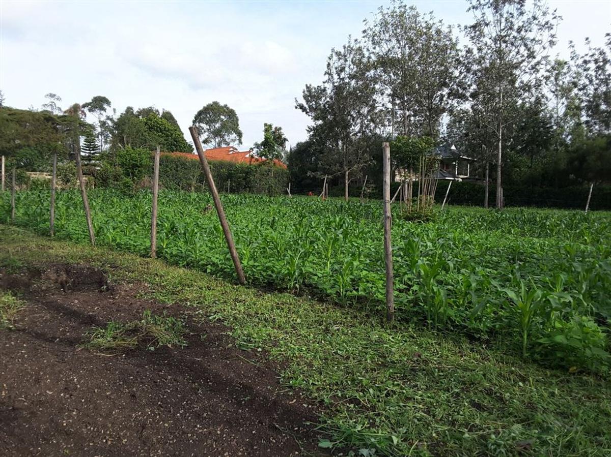 500 m² Residential Land in Ongata Rongai - 3