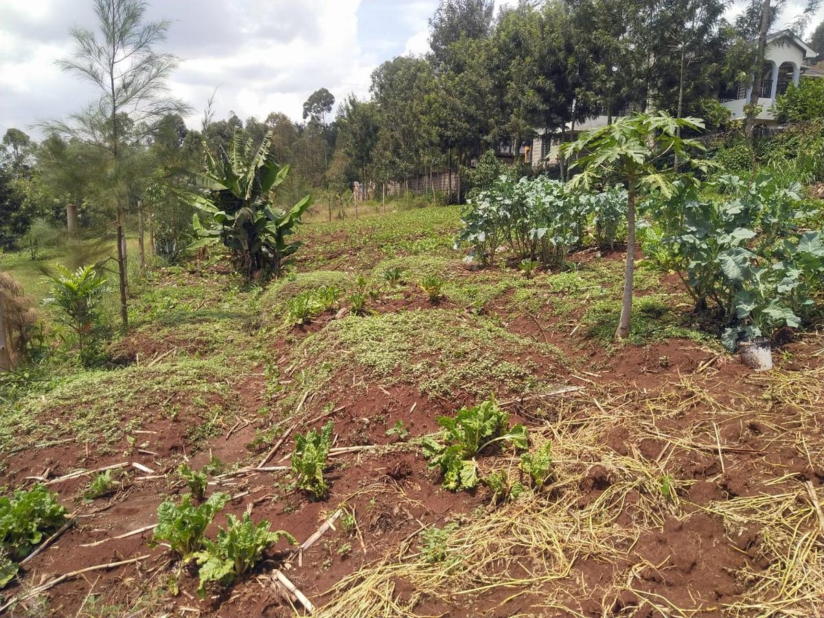 0.113 ac Residential Land in Ngong - 10