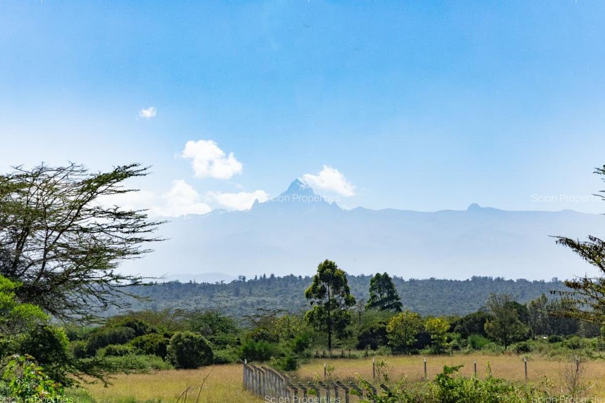 0.125 ac Residential Land in Nanyuki - 1