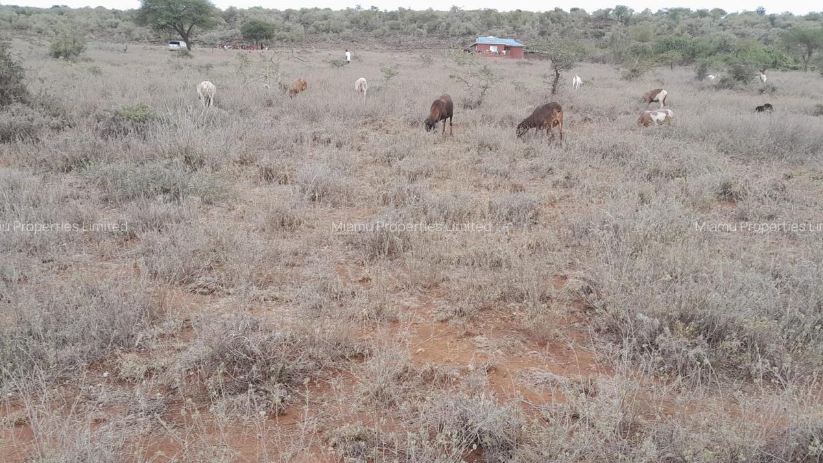 1 ha Land at Saikeri - 1