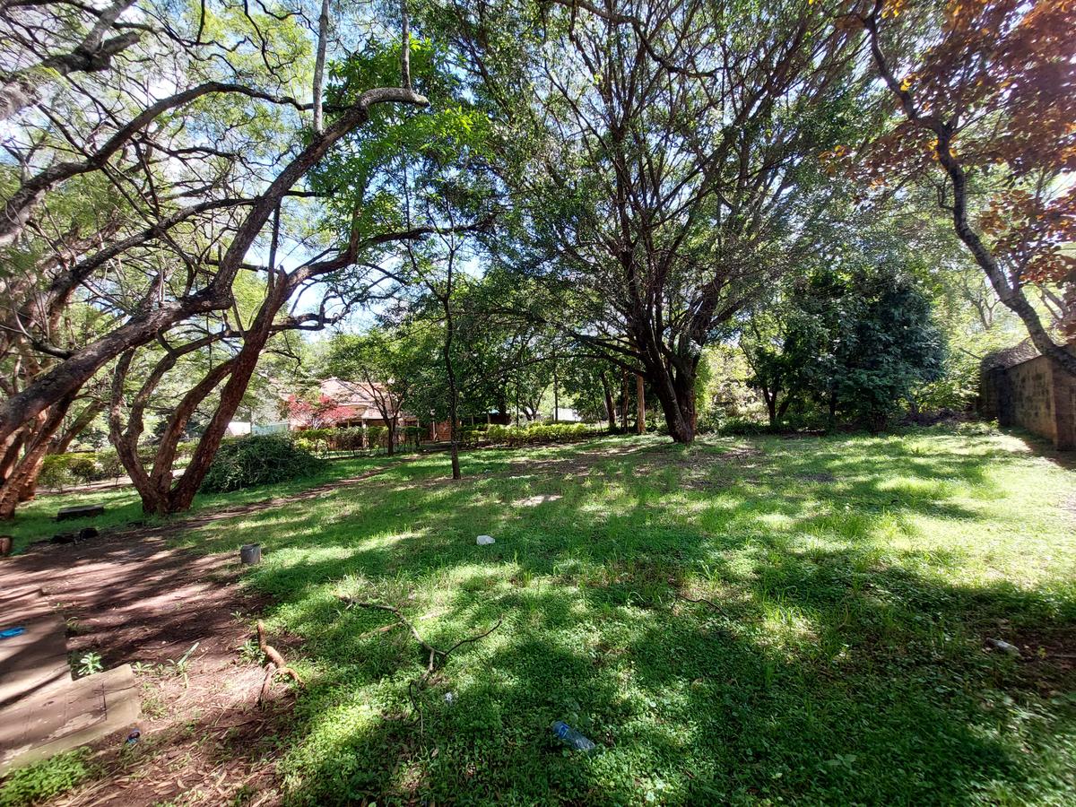 Residential Land at James Gichuru - 13