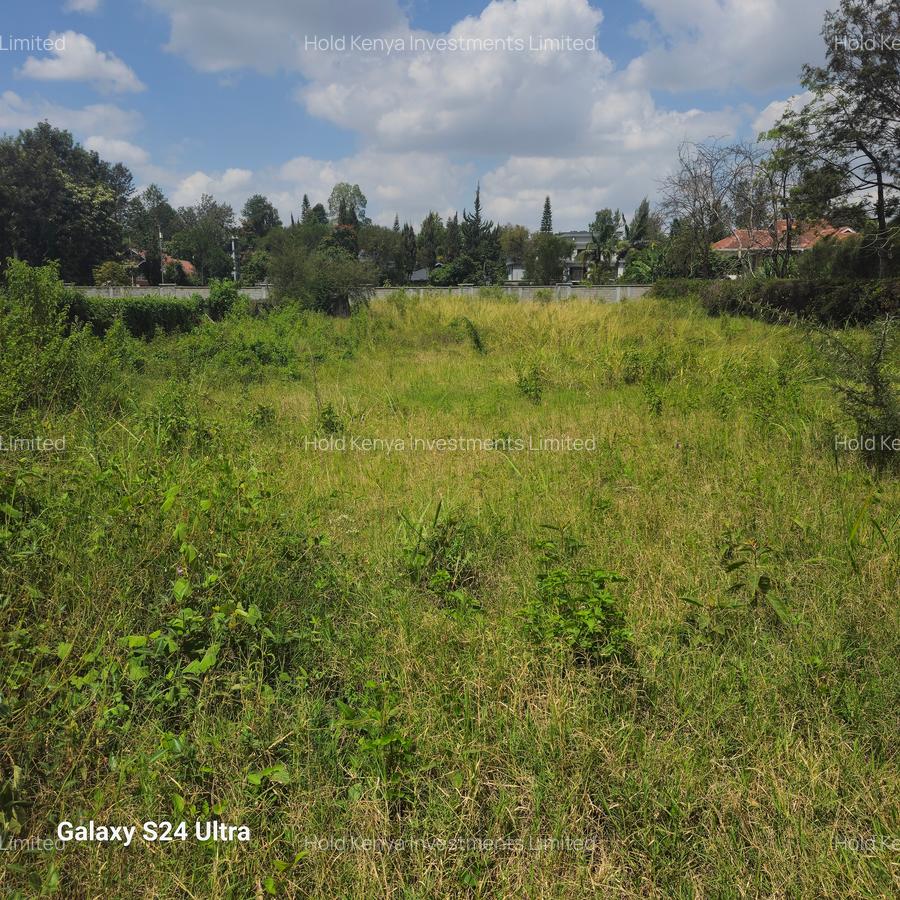 0.6 ac Land at Rundaevergreen - 4