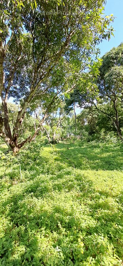 Land at Mtwapa - 13