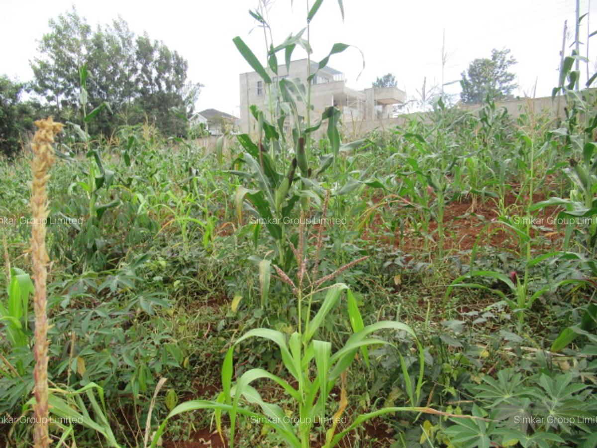 Residential Land at Mushroom Gardens - 11