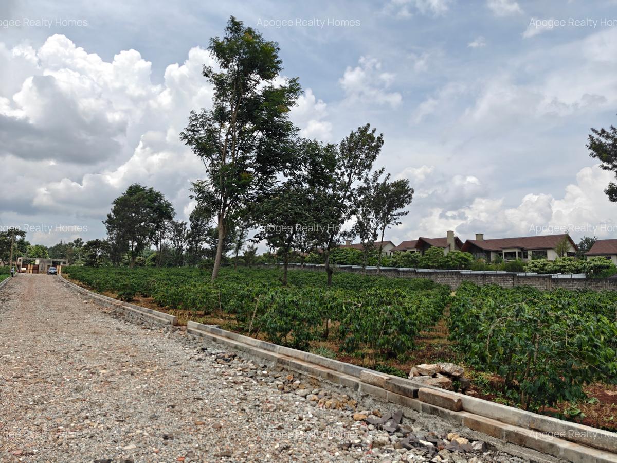 0.5 ac Land at Runda - 8