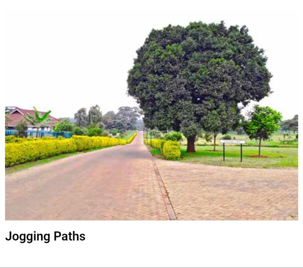 1 ac Land in Karen - 7