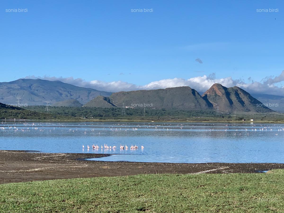 1 ac Land in Gilgil - 4