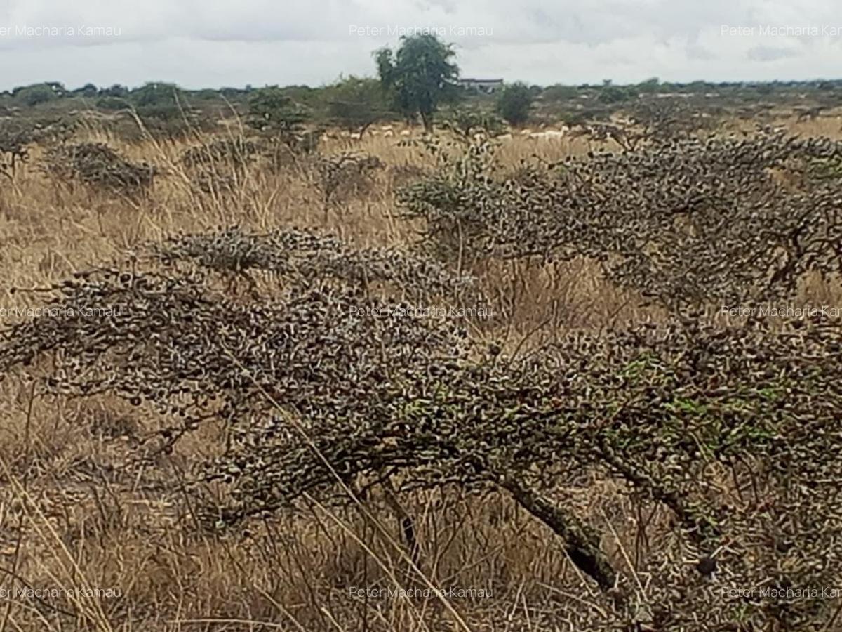 50 ac Land in Konza City - 6