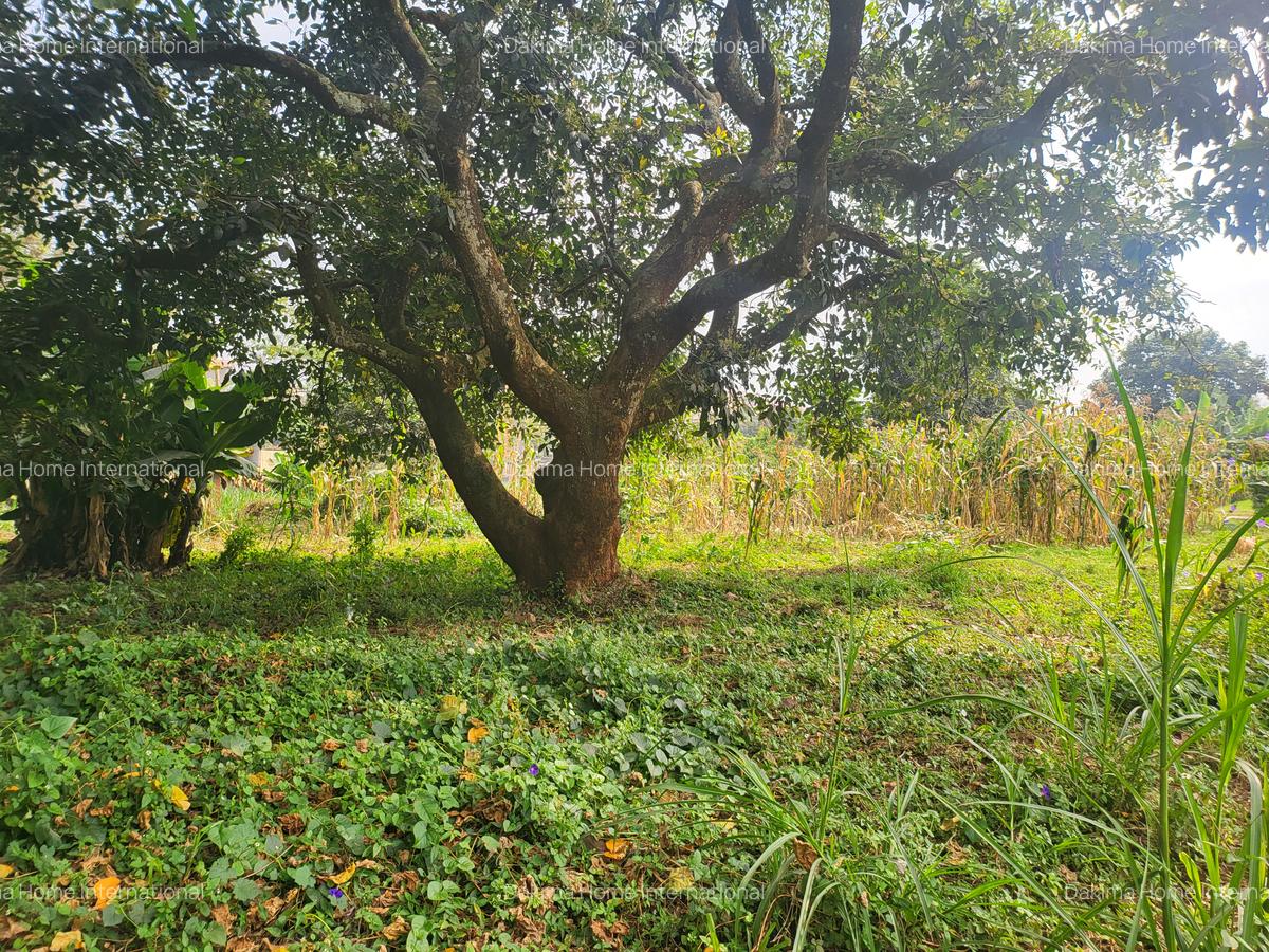 Land in Lower Kabete - 2