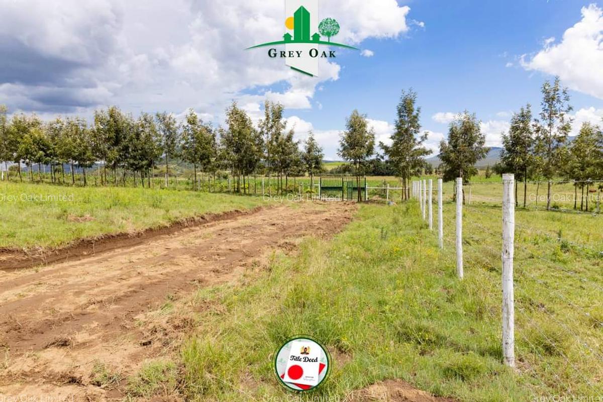 0.0430 ha Residential Land in Naivasha - 8