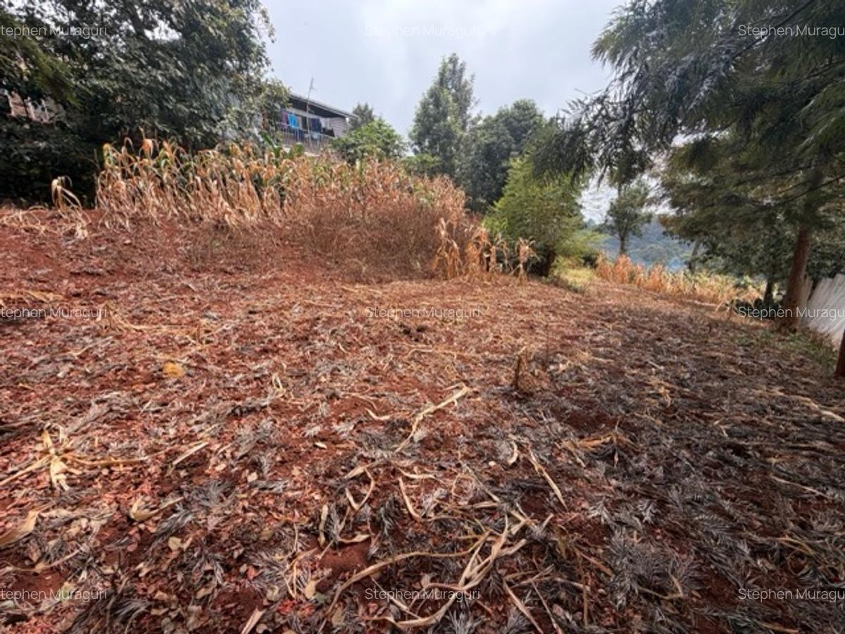 0.25 ac Land in Nyeri - 5