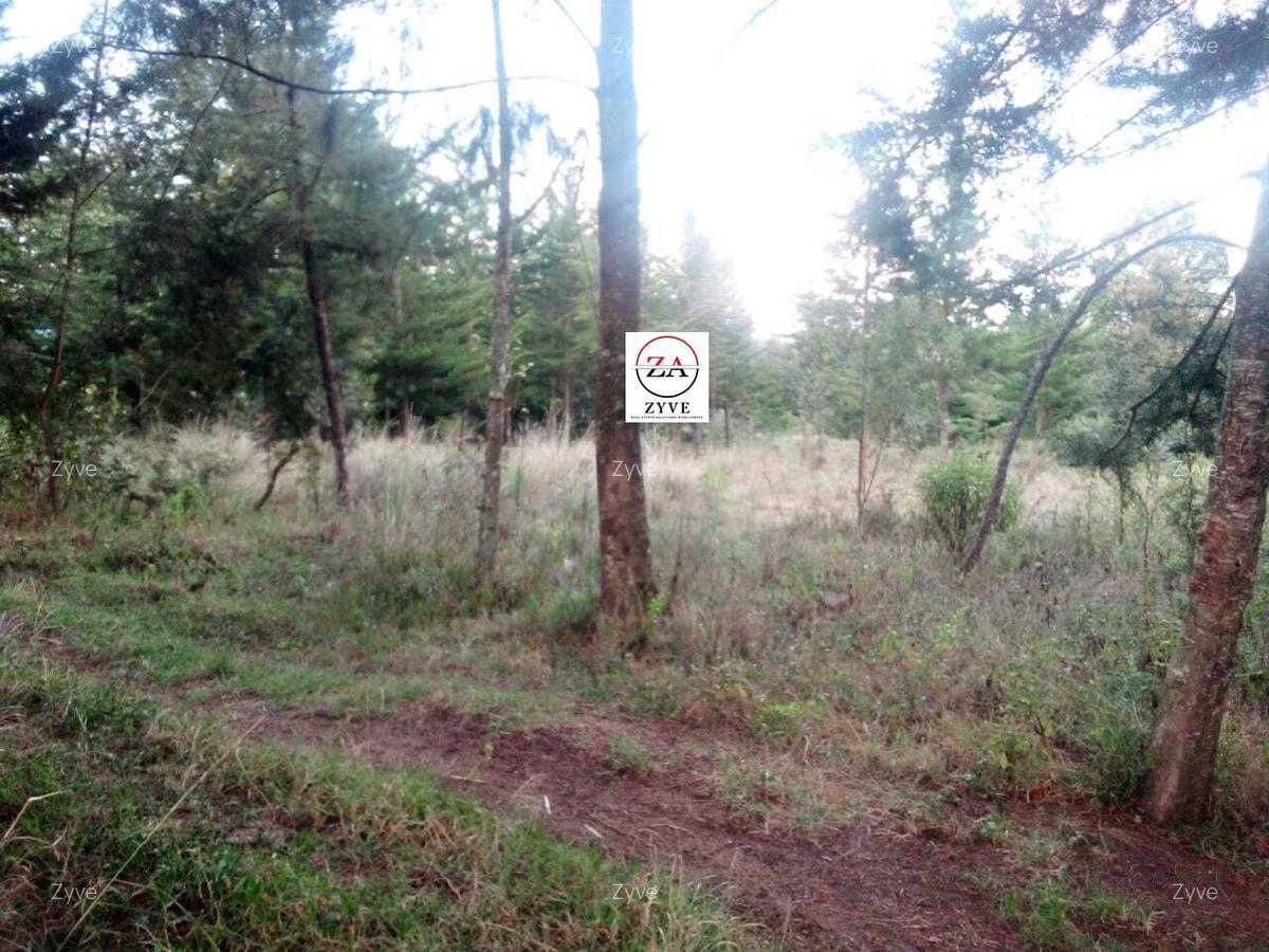 6 ac Land at Mukima Ridge - 2