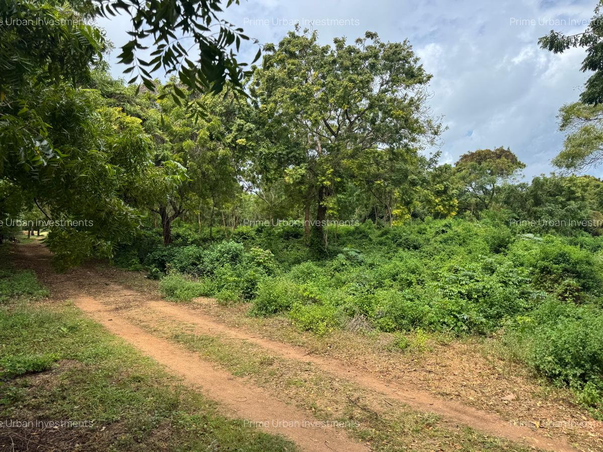 Land at Mtwapa Beach - 14
