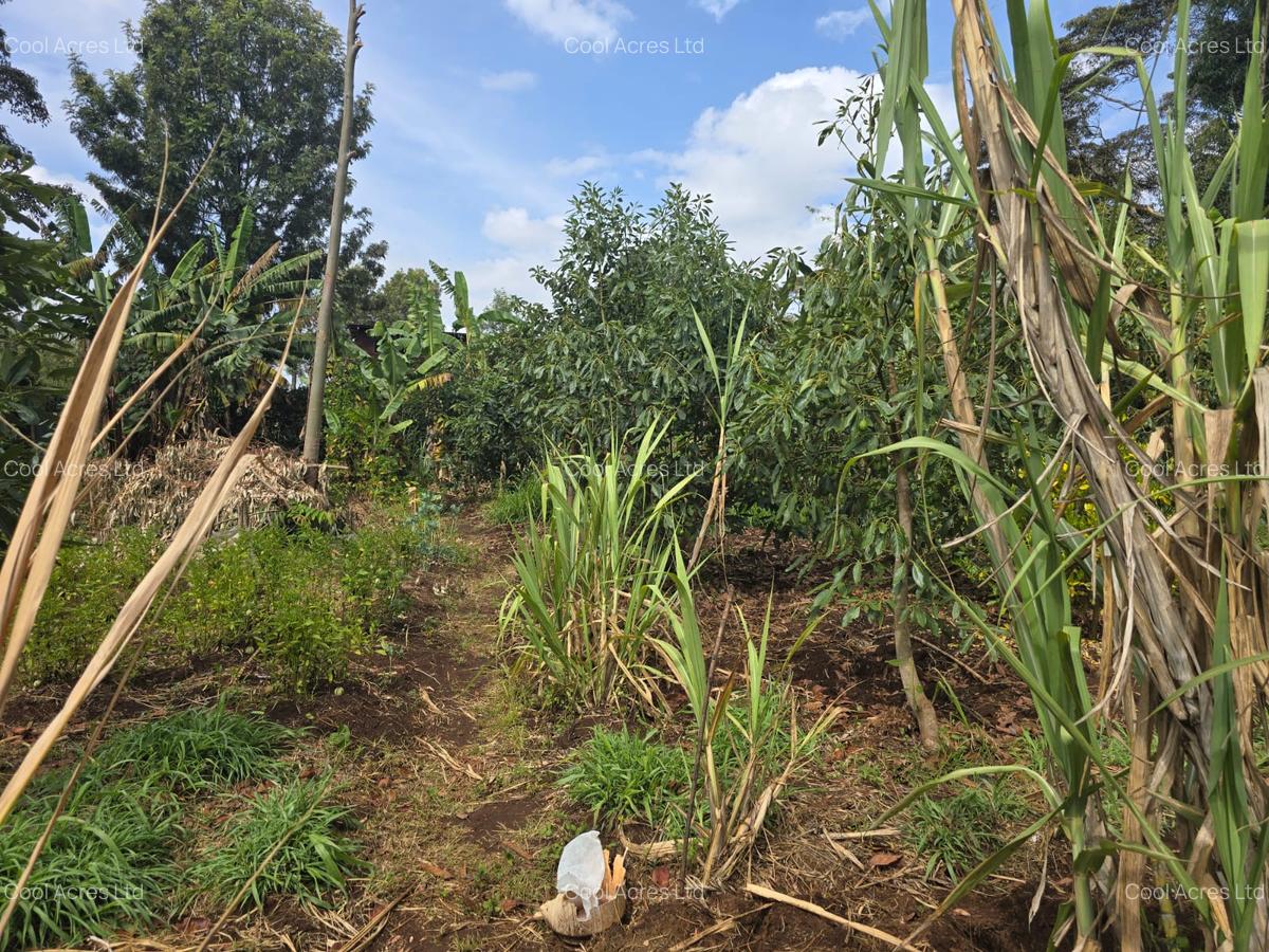 Land at Next To Tilisi Estate - 6