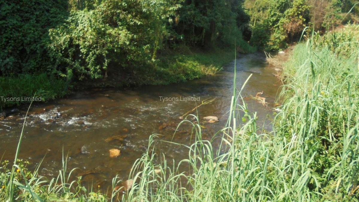 6.3 ac Land in Nyeri - 1