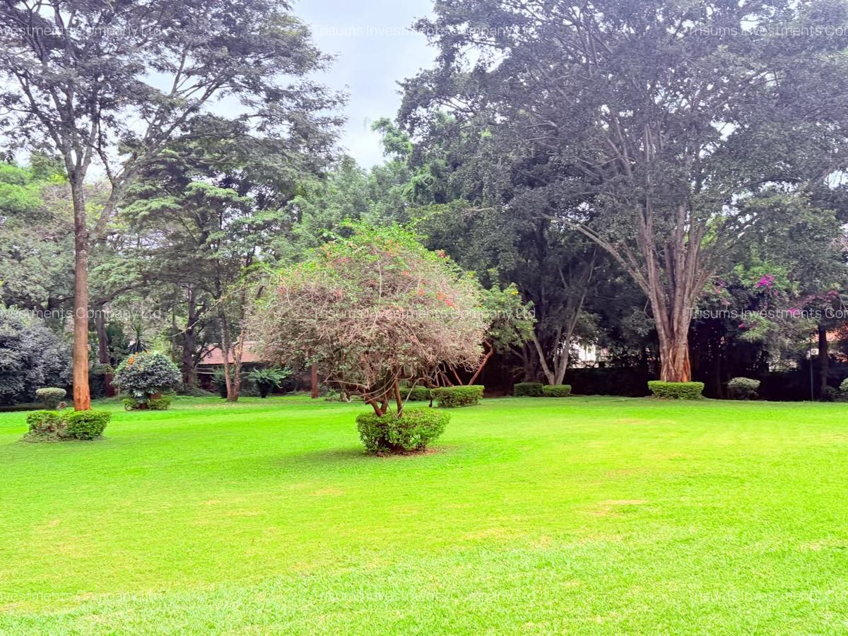 4.1 ac Land in Rosslyn - 10