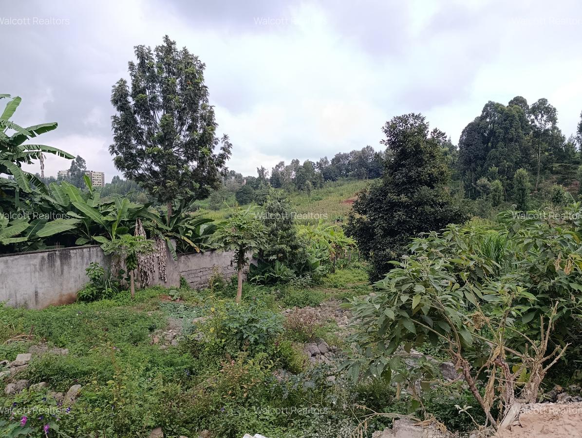 Land in Ruaka - 2