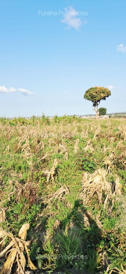 Land in Kilifi - 17
