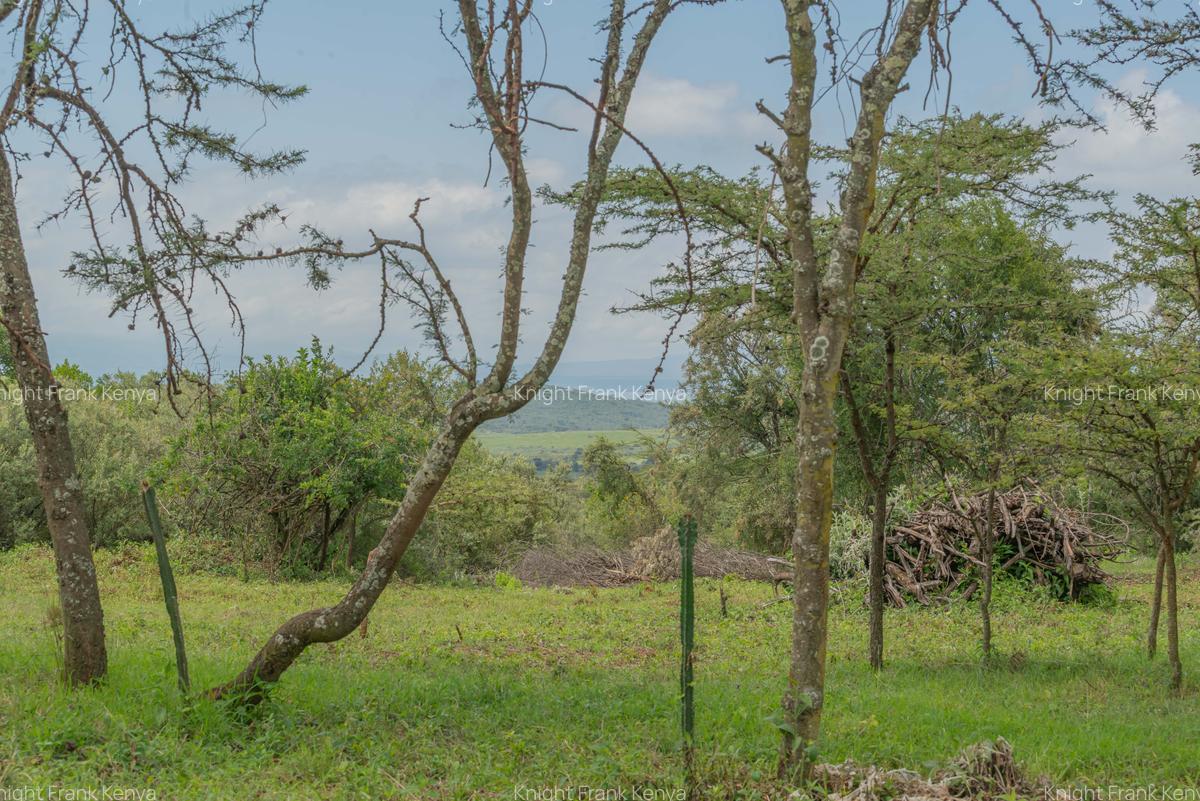 10 ac Land at Kisuri Hills - 5