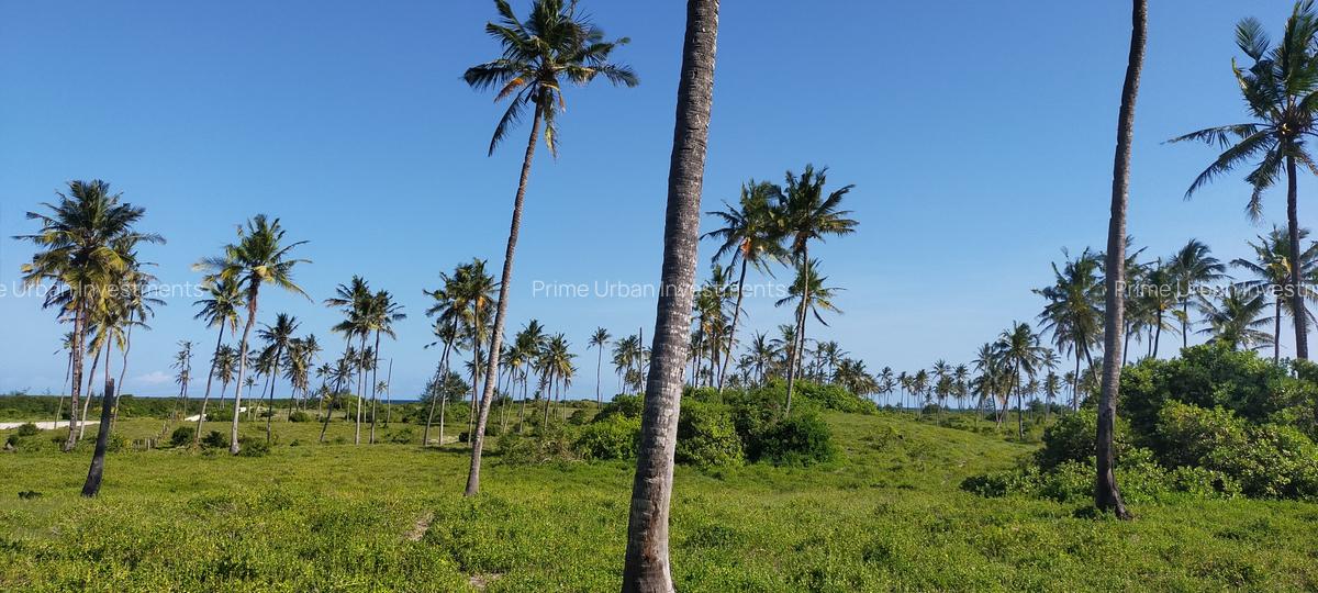 Land at Bofa Beach - 13