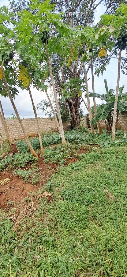 3 Bed House with En Suite at Tiwi South Coast - 5