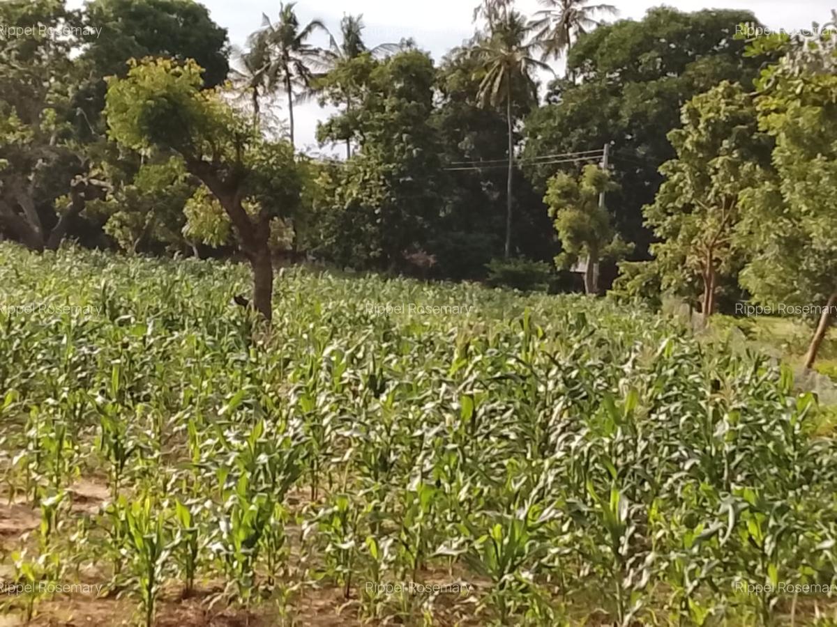 3 Bed House with Garden at Malindi Road - 8