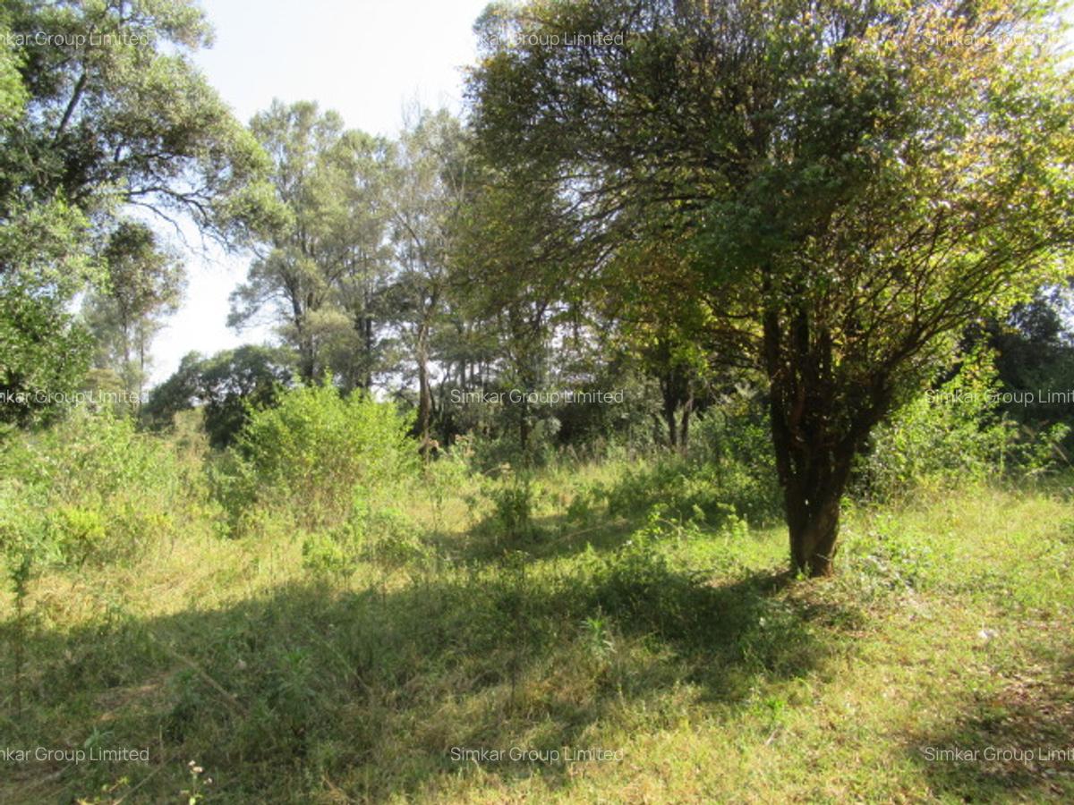 9 ac Land at Karen - 2