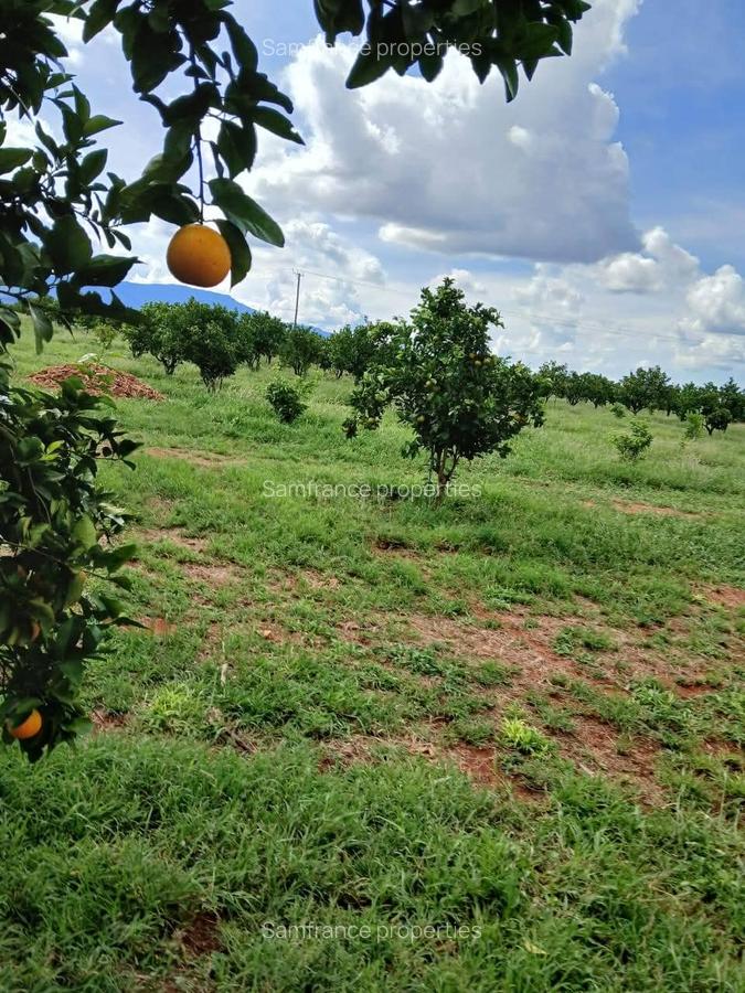 2,000 ac Commercial Land at Voi Mwatate - 1