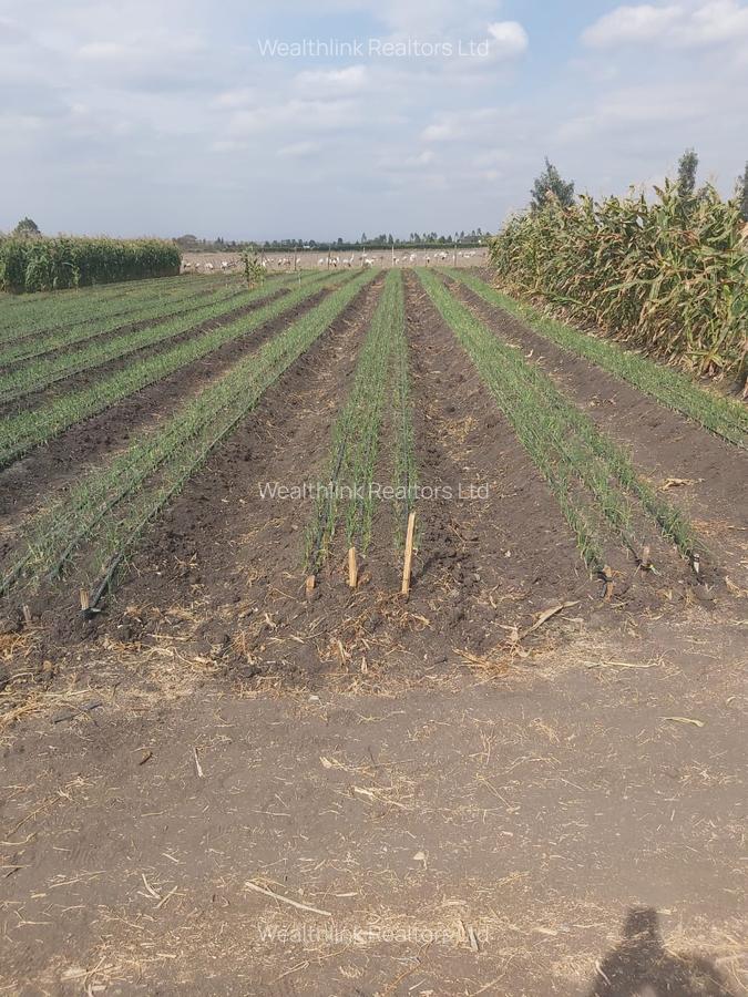 Land at Kisaju - 10