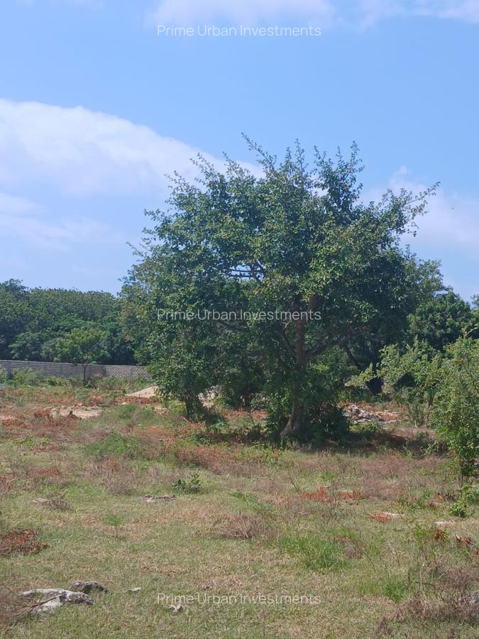 1,000 m² Residential Land at Vipingo - Kuruwitu - 9